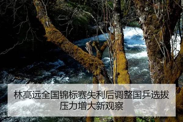 林高远全国锦标赛失利后调整国乒选拔压力增大新观察